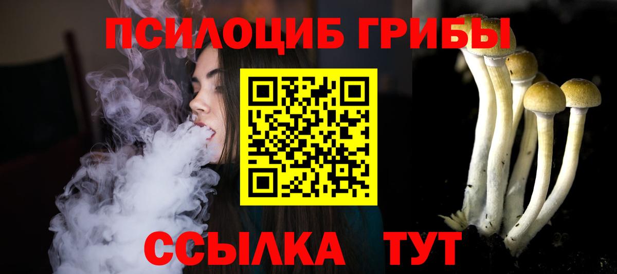 Пенза  Псилоцибиновые грибы мицелий  Вход с VPN  Галлюциногенные грибы мухоморы 